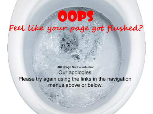 Roto-Rooter 404 Error Flushing Toilet 
